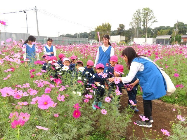 東岩槻幼稚園ブログ－さいたま市岩槻区